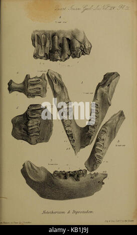 Die Zeitschrift der Geological Society of London (12981115605) Stockfoto