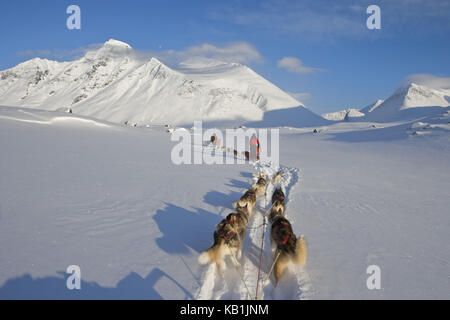 Hundeschlitten in den sarek Nationalpark, Winterlandschaft, Berg und Tal pastavagge pierikpakte, Lappland, Schweden, Stockfoto