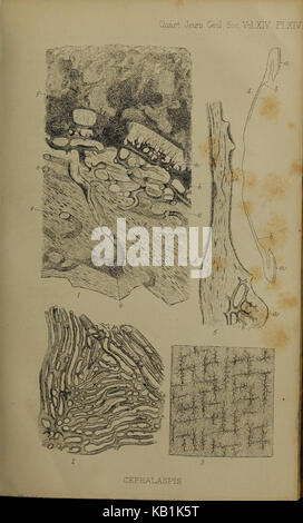 Die Zeitschrift der Geological Society of London (12826341485) Stockfoto
