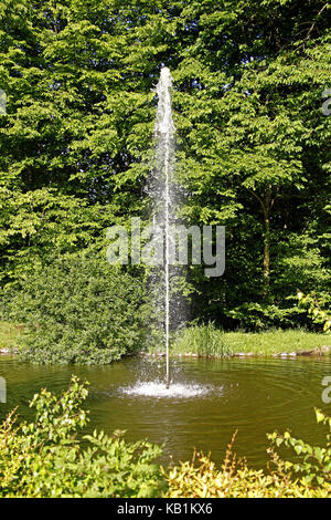 Deutschland, Hessen, Bad Soden-Salmünster, Kurpark, Fischteich, Jet, Stockfoto