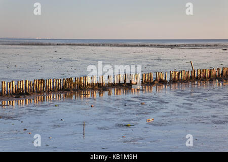 Wellenbrecher im Watt, keitum auf der Insel Sylt, Sylt Ost, Schleswig-Holstein, Deutschland, Stockfoto