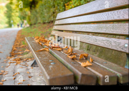 Laub auf der leeren Bank in einem öffentlichen Park Stockfoto