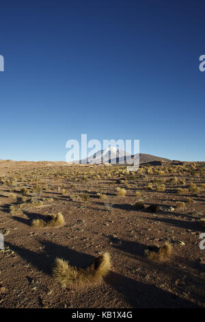 Bolivien, Los Lipez, Mirador Volcan Ollagüe, Stockfoto