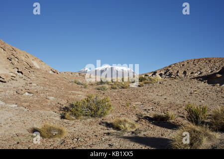 Bolivien, Los Lipez, Mirador Volcan Ollagüe, Stockfoto