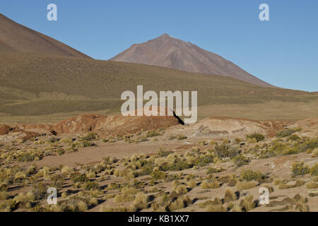 Bolivien, Los Lipez, Mirador Volcan Ollagüe, Stockfoto