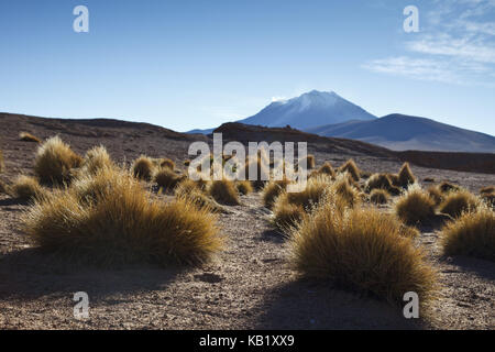 Bolivien, Los Lipez, Mirador Volcan Ollagüe, Stockfoto