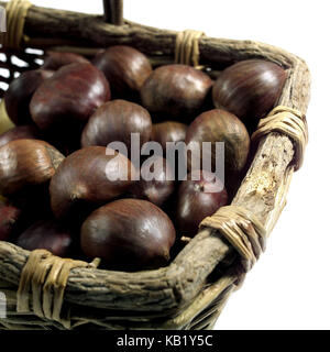 Kastanien, Castanea sativa, Korb, weißer Hintergrund, Stockfoto