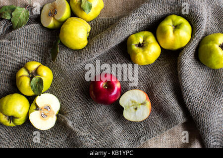 Gesunde Ernährung, Ernte, Herbst Konzept. in das Licht der Sonne auf die raue Oberfläche des sack Stoff gibt es leuchtend bunten Früchten, gelb grün Quitten mit Blättern und roten Apfel mit einer Hälfte Stockfoto