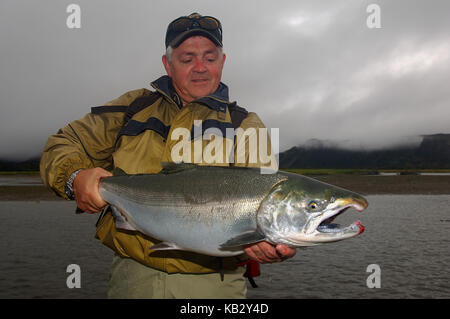 Fischer Holding eine Silber- oder coho Lachs gefangen, während Fliegenfischen in der Nähe von Alaska Chignik Stockfoto