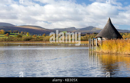 Llangorse Lake (Llyn Syfaddon) und einer rekonstruierten Crannog, Brecon Beacons National Park Stockfoto