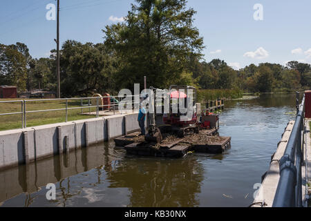 Nach dem Hurrikan Irma, Baum Cleanup crew Verriegeln durch die Burrell Navigations-Sperre auf Haines Creek Leesburg, Florida USA Stockfoto