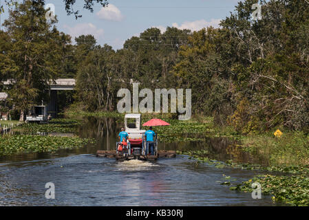 Nach dem Hurrikan Irma, ein Baum Cleanup Crew nach Verriegelung durch die Burrell Navigations Lock Köpfe unten Haines Creek Leesburg, Florida USA Stockfoto