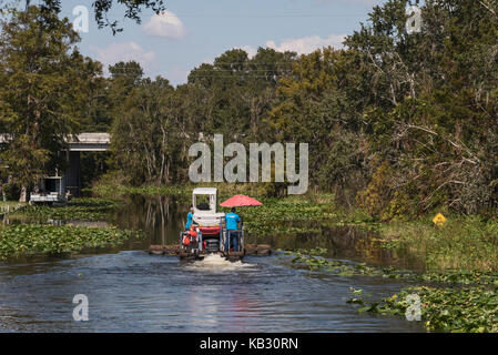 Nach dem Hurrikan Irma, ein Baum Cleanup Crew nach Verriegelung durch die Burrell Navigations Lock Köpfe unten Haines Creek Leesburg, Florida USA Stockfoto