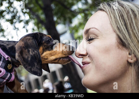 Jährliche dackel Fancy Dress Costume Contest Melbourne Australien Stockfoto