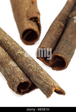 Auf Zimt Rinde, Chinesischer Zimt oder Cassia zimt Cinnamomum aromaticum, Stockfoto