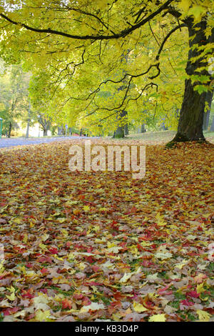 Die herbstlichen Park, Stockfoto