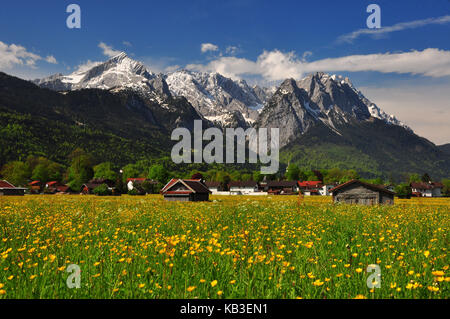 Deutschland, Bayern, Werdenfelser, Garmisch - Partenkirchen, Agrar, zugspitze Gruppe, Feder, Stockfoto