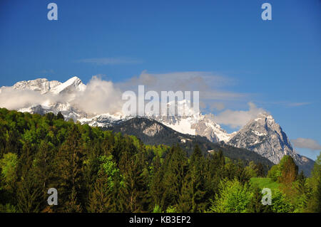 Deutschland, Bayern, Werdenfelser, Garmisch - Partenkirchen, Bergwald, zugspitze Gruppe, Feder, Stockfoto