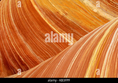 Coyote buttress, den USA, Stockfoto