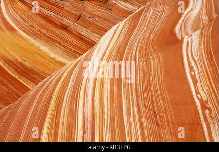 Coyote buttress, den USA, Stockfoto