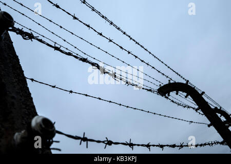 Stacheldraht Zäune in Auschwitz II Birkenau Konzentrationslager, Polen Stockfoto