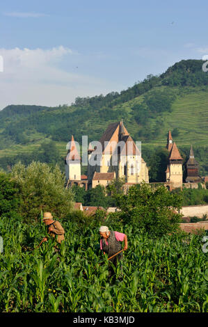 Rumänien, Siebenbürgen, Dorf und Zitadelle von Biertan, Teil von Dörfern mit befestigten Kirchen in Siebenbürgen, die von der UNESCO zum Weltkulturerbe erklärt wurden Stockfoto