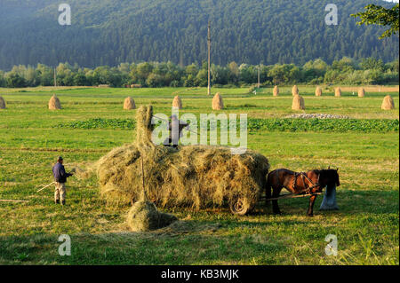 Rumänien, Region bukovine, Feld, Sommer, Heuernte, Stockfoto