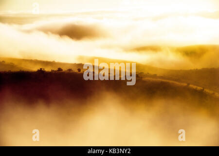 Fort Ord National Monument Badger Hill Trail Head, Monterey CA. Stockfoto