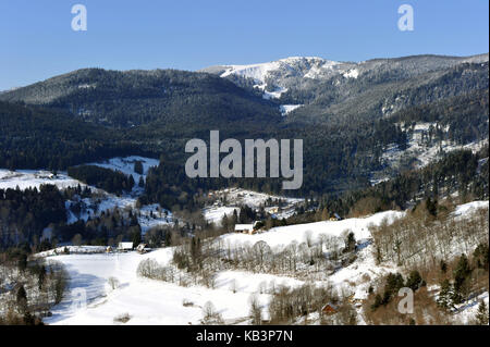 Frankreich, Haut Rhin, Hautes Vosges, Col du Calvaire Stockfoto