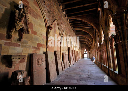 Frankreich, Bas Rhin, Wissembourg, Saint-Pierre-Kirche Saint-Paul, die unvollendete gotische Kreuzgang Stockfoto