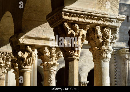 Frankreich, Bouches-du-Rhone, Arles, Kirche St. Trophime des 12. und 15. Jahrhundert, als Weltkulturerbe von der UNESCO, der Kreuzgang Stockfoto