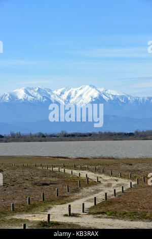 Frankreich, Pyrenees Orientales, Canet-en-Roussillon, Canet Saint Nazaire Teich mit Mont Canigou (2784 m) Stockfoto