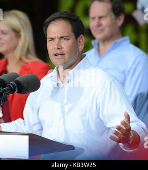 MIAMI, FL - 13. August: Florida Republikanische Senator Marco Rubio mit Mitt Romney im El Palacio de los Jugos am 13. August 2012 in Miami, Florida erschienen. Personen: Florida Republikanische Senator Marco Rubio Getriebe Ref: FLXX Hoo-Me.com/MediaPunch Stockfoto