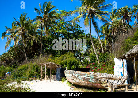 Ein Boot am Strand mit Palmen Stockfoto