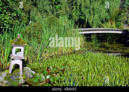 Holzbrücke und Japanische Gartenlaterne auf kleinen grünen Teich. Stockfoto