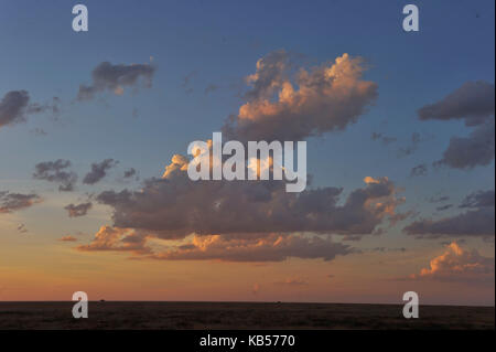 Namibia, Kunene, Etosha National Park Stockfoto