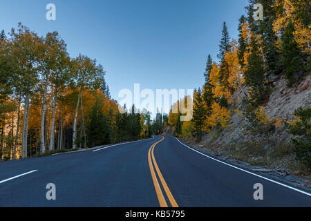 Ein Blick in die Mitte der Trail Ridge Road, wie es durch die bergige Landschaft Kurven mit Herbstlaub auf den Seiten. Stockfoto