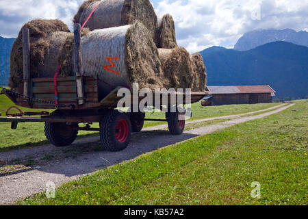 Trailer, beladen mit Heuballen Stockfoto