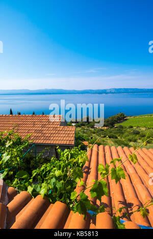 Landschaft rund um murvica in der Nähe von Zlatni rat auf der Insel Brac Kroatien Europa Stockfoto