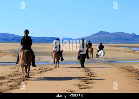 Reiten auf longufjordur Strand, Halbinsel Snaefellsnes, Island Stockfoto