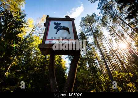 Europa, Polen, Woiwodschaft Podlachien, carska Straße Stockfoto