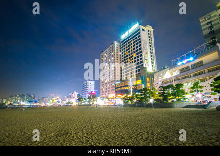 Blick auf Gwangalli und Gwangan bridge bei nacht in Busan, Südkorea. Stockfoto