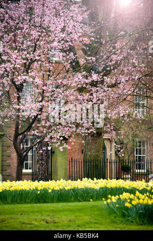 Hurworth-auf-T-Stücke, County Durham Stockfoto