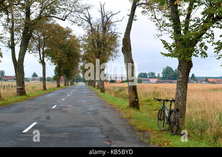 Dorf gewundene Nebenstrasse im Dorf und die Bäume an den Rändern Stockfoto