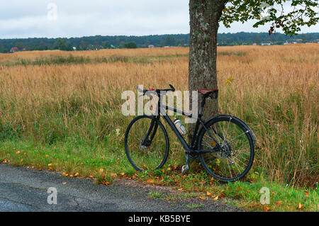 Das Fahrrad in der Nähe der einsamen Baum auf teure Stockfoto