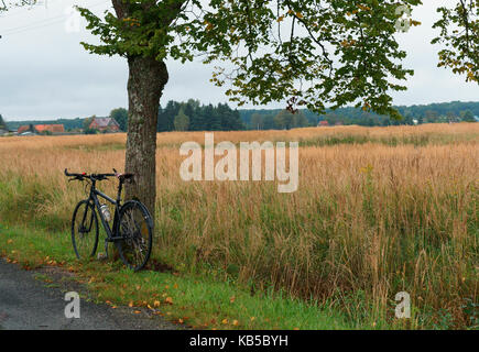 Das Fahrrad in der Nähe der einsamen Baum auf teure Stockfoto