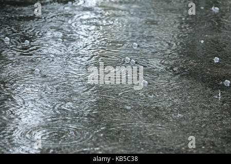 Regen fällt auf Asphalt Bürgersteig, Erstellen von Blasen und Wellen Stockfoto