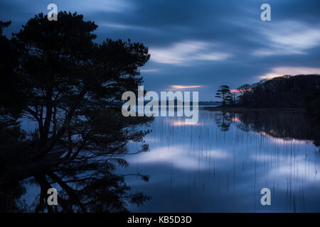 Muckross Lake in der Morgendämmerung, Seen von Killarney, Killarney National Park, County Kerry, Munster, Republik Irland, Europa Stockfoto