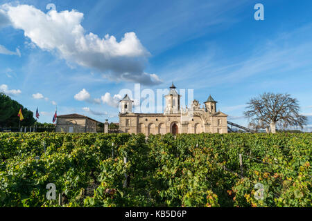 Cos d Estournel, Weinberge in Medoc, Bordeaux, Gironde, Aquitanien, Frankreich, Europa, Stockfoto