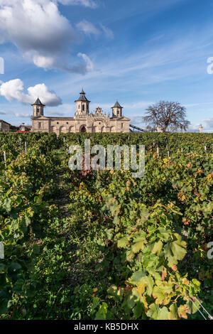 Cos d Estournel, Weinberge in Medoc, Bordeaux, Gironde, Aquitanien, Frankreich, Europa, Stockfoto